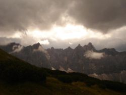 2013-09-08_6Falkenh-Steinfalk (100).JPG